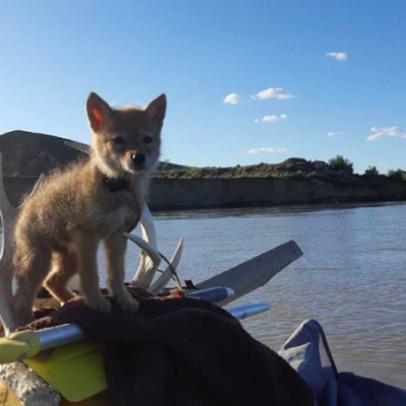 (水下潜水的视频)探索海底之美：潜水游泳视频教程助你成为水下冒险家