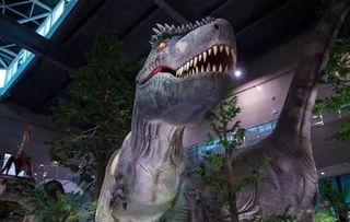 (恐龙的资料大全 了解)探秘恐龙世界：恐龙的资料介绍大全图文资料