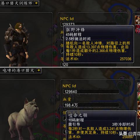 在魔法驯兽师的世界里，探索人与魔兽之间的奇幻旅程与深厚羁绊